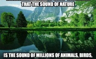 The sound of nature