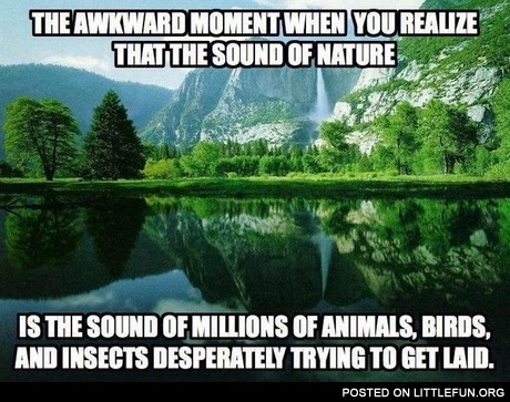 The sound of nature