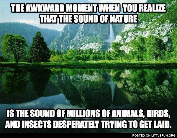 The sound of nature