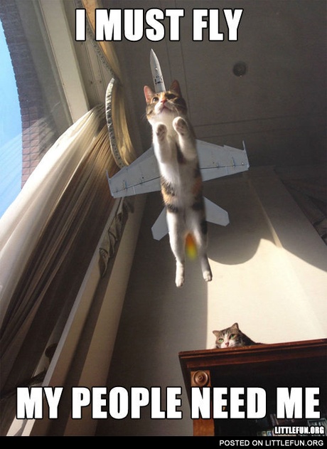 I must fly, my people need me