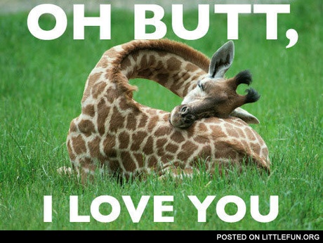 Oh butt, I love you