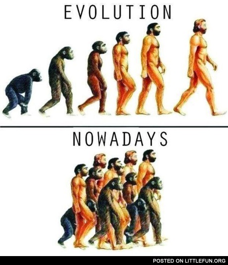 Evolution nowadays