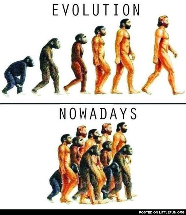 Evolution nowadays