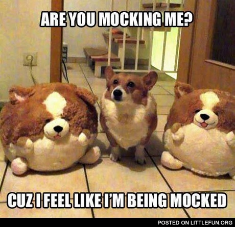 Are you mocking me?