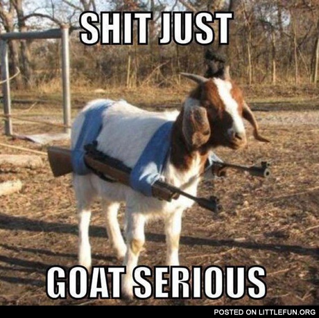 Shlt just goat serious