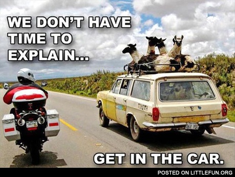 We don't have time to explain... Get in the car