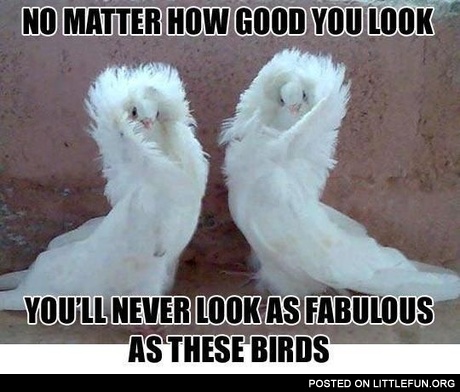 No matter how good you look
