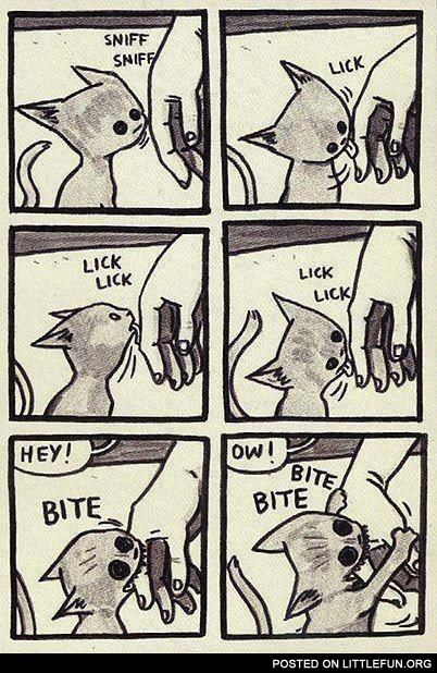 Sniff sniff bite bite