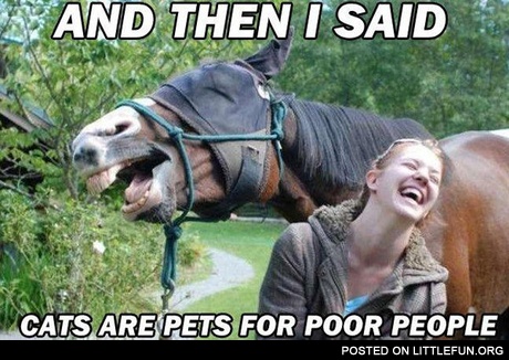 And then I said, - "Cats are pets for poor people"
