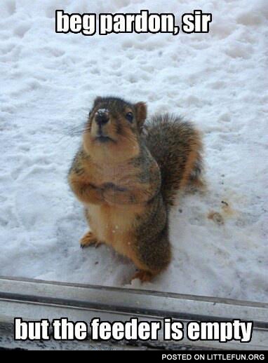 Beg pardon, sir, but the feeder is empty