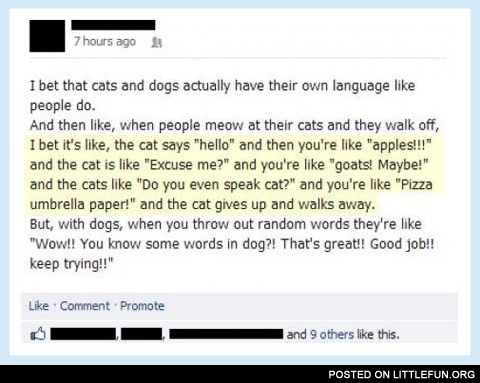 Cats and dogs have their own language