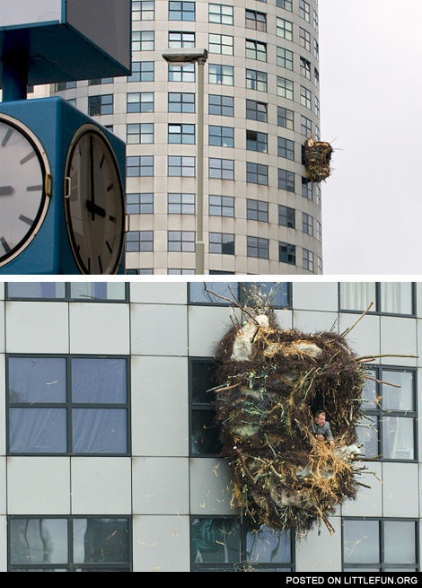 Benjamin Verdonck's Giant Nest in Rotterdam