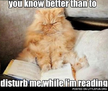Do Not Disturb