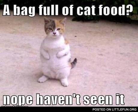 A bag full of cat food?