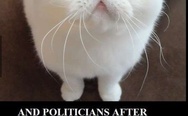 Politicians before and after elections