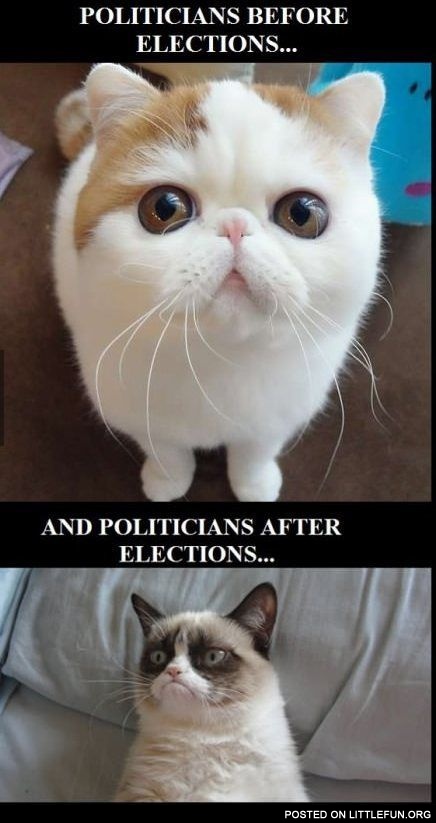 Politicians before and after elections
