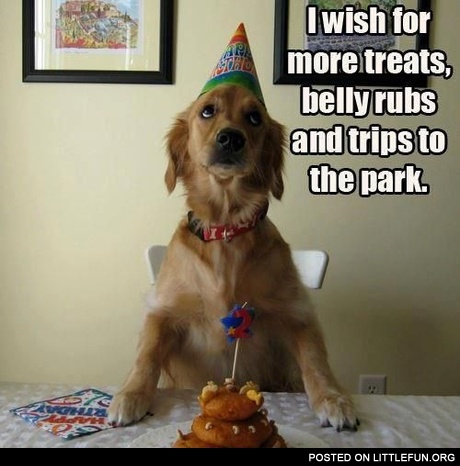 I wish for more treats