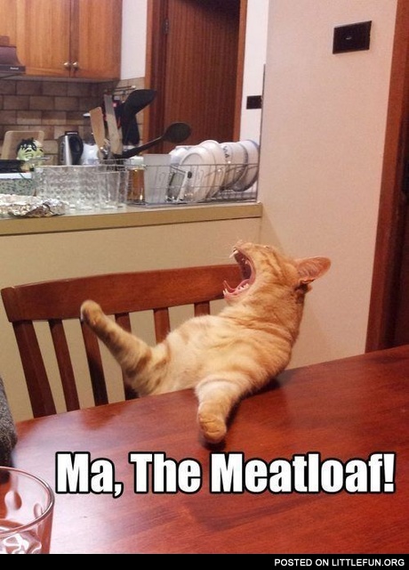 Ma, the meatloaf