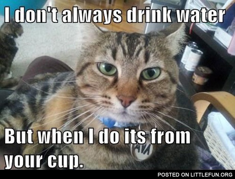 I don't always drink water