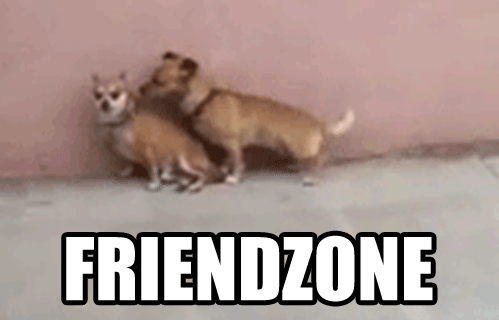 Friendzone