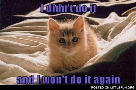 I didn't do it