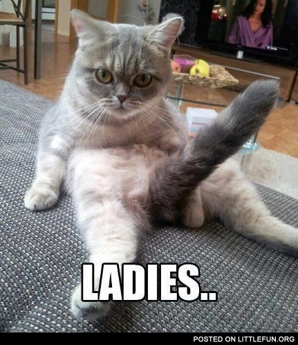 Ladies...