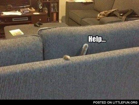Help