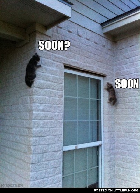 Soon? Soon.