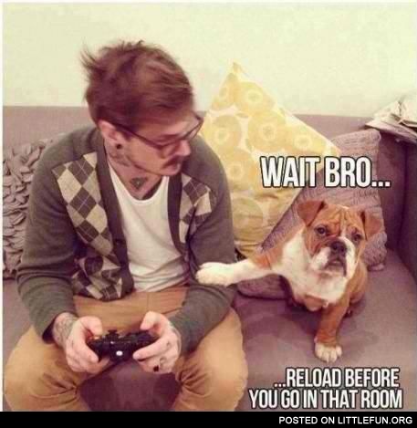 Wait, bro