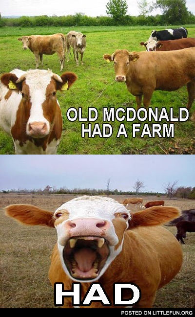 Old McDonald had a farm