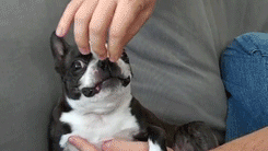 A-a-a, don't tickle me