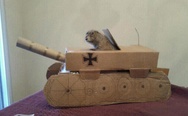 Just A Prairie Dog In A Tank