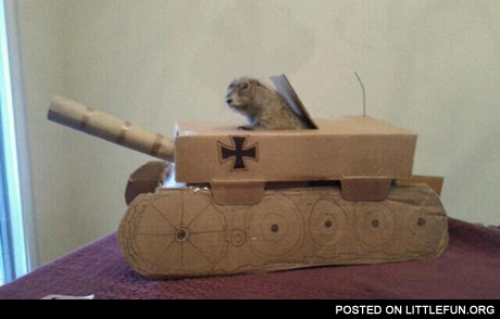 Just A Prairie Dog In A Tank