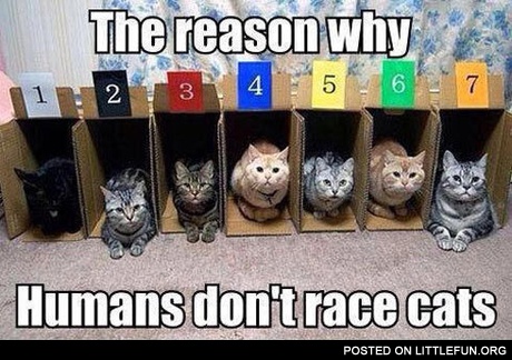 The reason why humans don't race cats