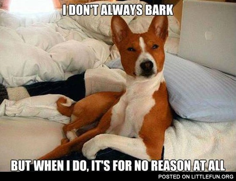 I don't always bark