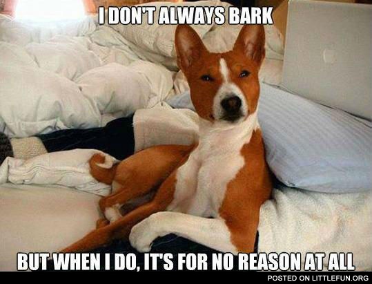 I don't always bark