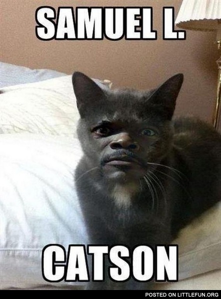 Samuel L. Catson