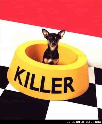 Killer