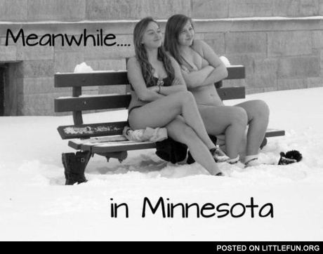 Meanwhile in Minnesota