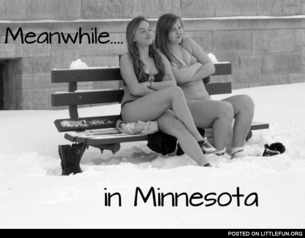 Meanwhile in Minnesota