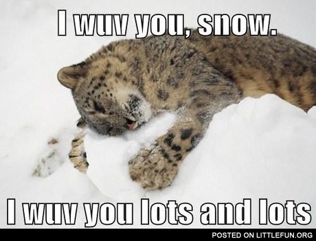 I love you snow