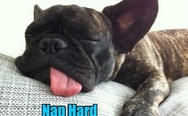 Nap hard