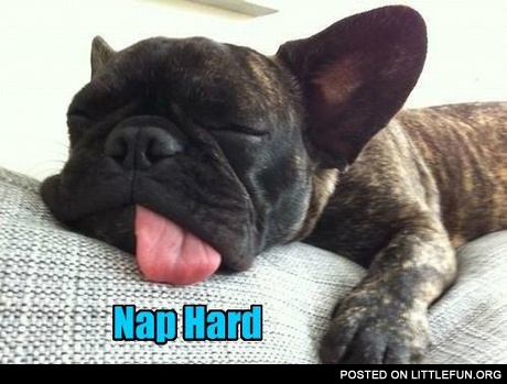Nap hard