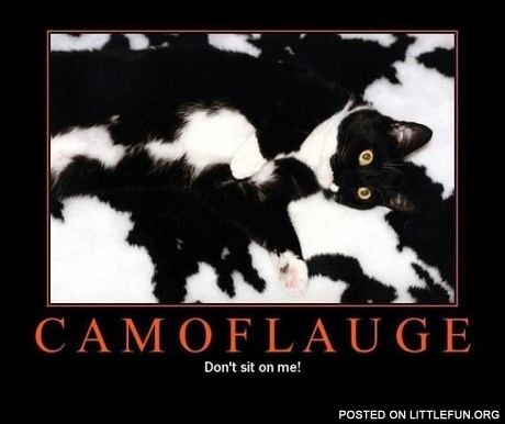Camoflauge
