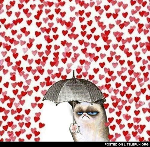 Grumpy Valentine's Day
