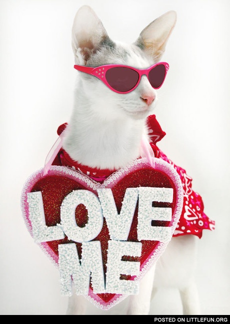 Love me