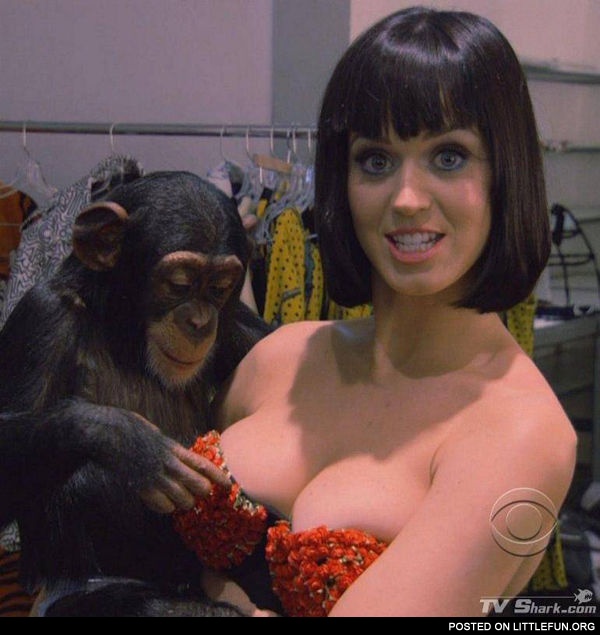 Katy Perry and chimp