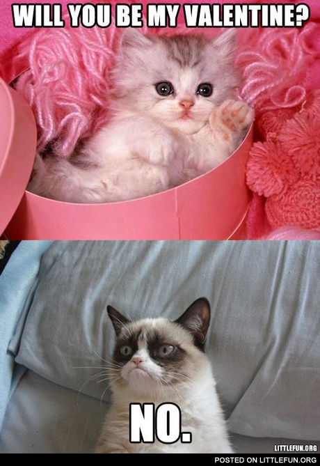 Will you be my Valentine?