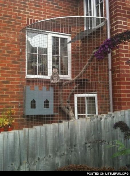Locked up