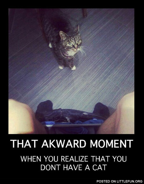When you realize that you don't have a cat